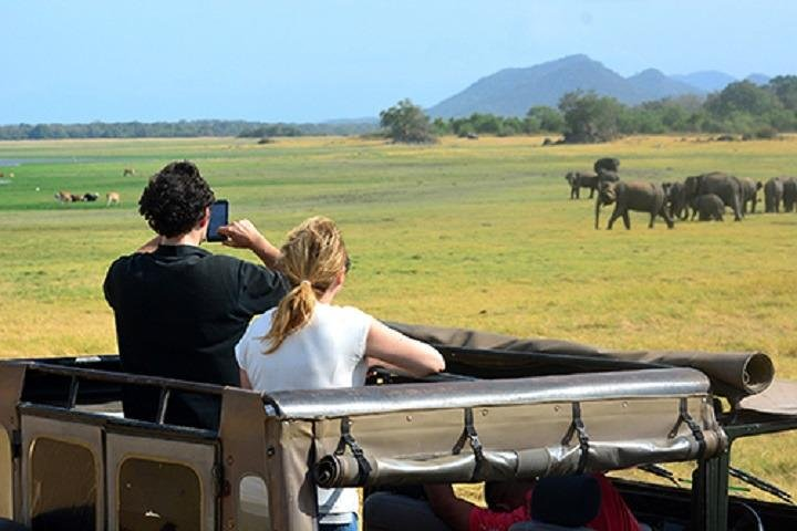 Yala Safari (3 Days, 2 Nights) - Photo 1 of 11